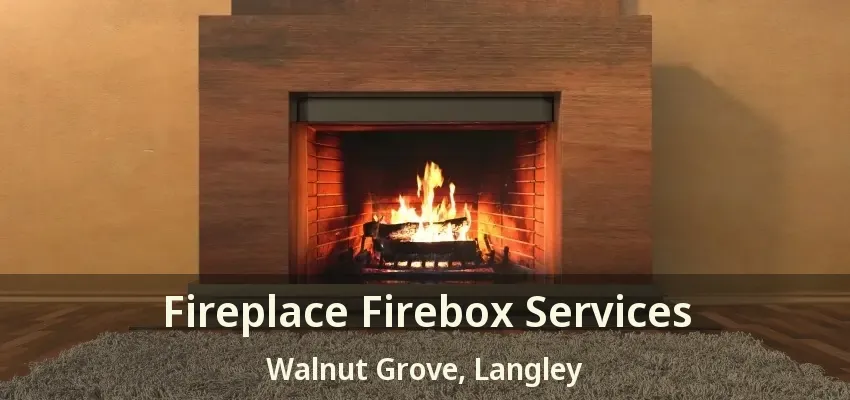 Fireplace Firebox Services Walnut Grove, Langley - BC