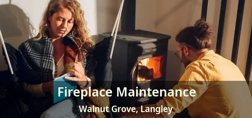 Fireplace Maintenance Walnut Grove, Langley - BC