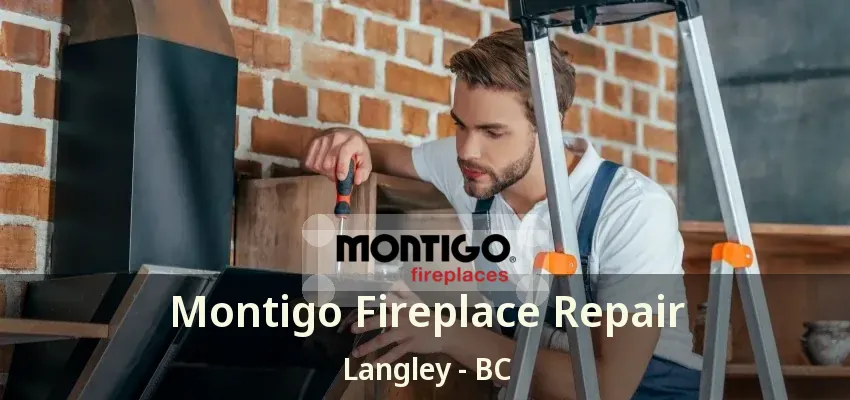 Montigo Fireplace Repair Langley - BC