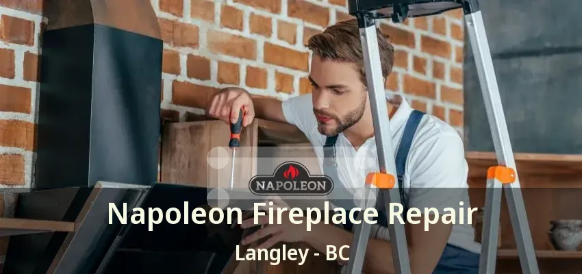 Napoleon Fireplace Repair Langley - BC