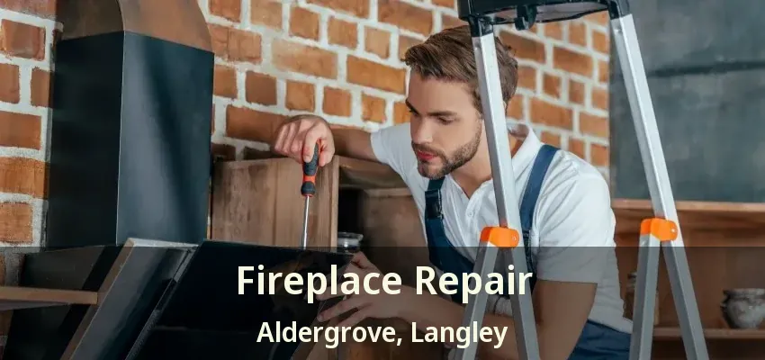 Fireplace Repair Aldergrove, Langley - BC