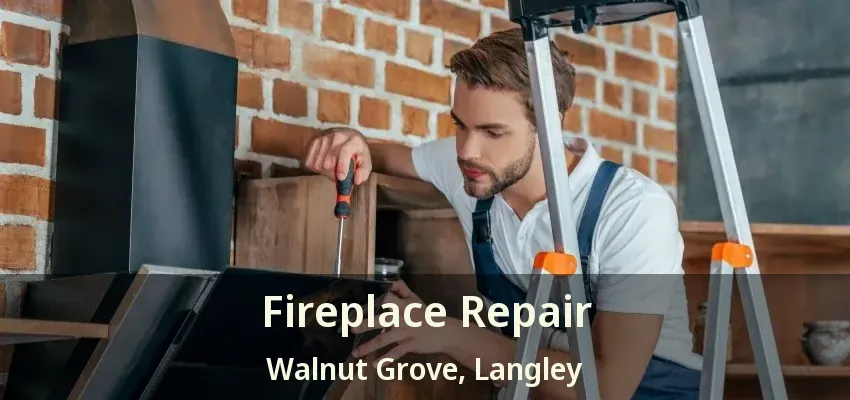 Fireplace Repair Walnut Grove, Langley - BC