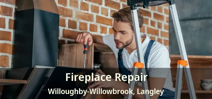 Fireplace Repair Willoughby-Willowbrook, Langley - BC