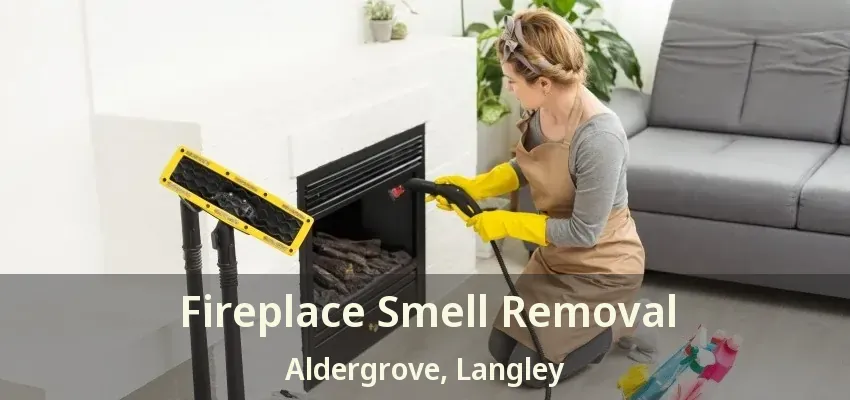 Fireplace Smell Removal Aldergrove, Langley - BC