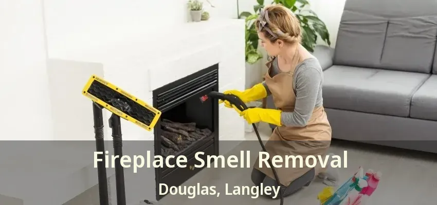Fireplace Smell Removal Douglas, Langley - BC