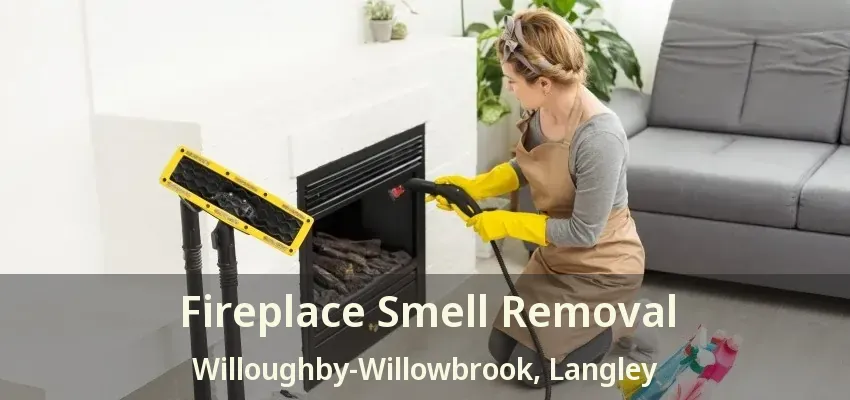 Fireplace Smell Removal Willoughby-Willowbrook, Langley - BC