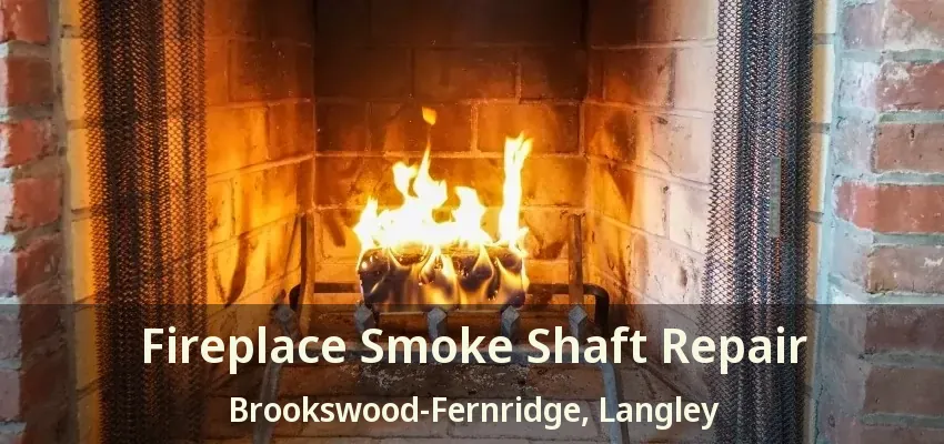 Fireplace Smoke Shaft Repair Brookswood-Fernridge, Langley - BC