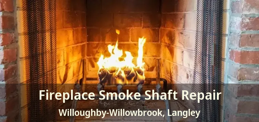 Fireplace Smoke Shaft Repair Willoughby-Willowbrook, Langley - BC