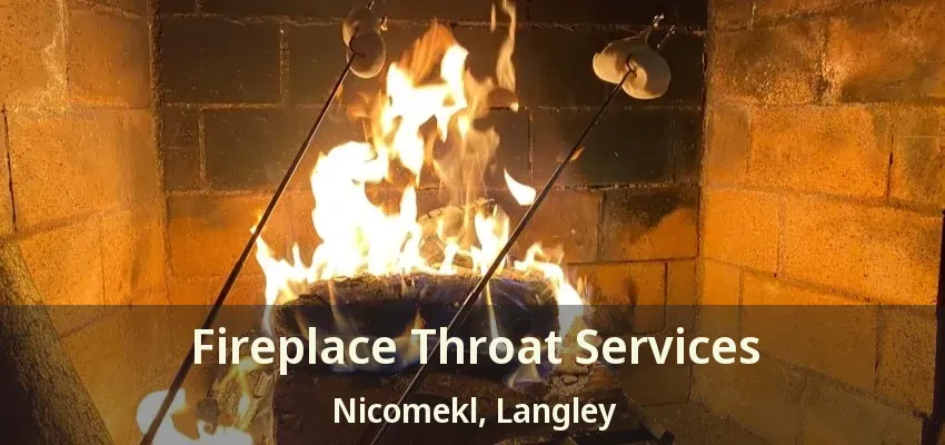 Fireplace Throat Services Nicomekl, Langley - BC