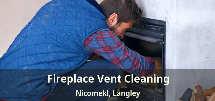 Fireplace Vent Cleaning Nicomekl, Langley - BC