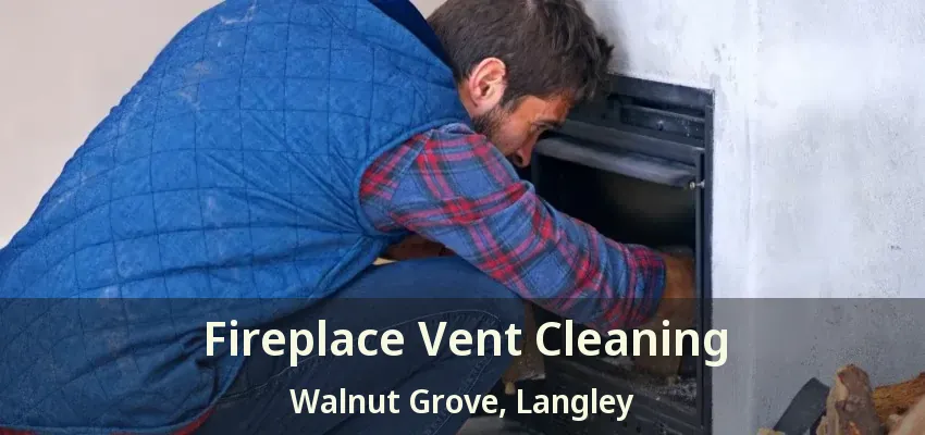Fireplace Vent Cleaning Walnut Grove, Langley - BC