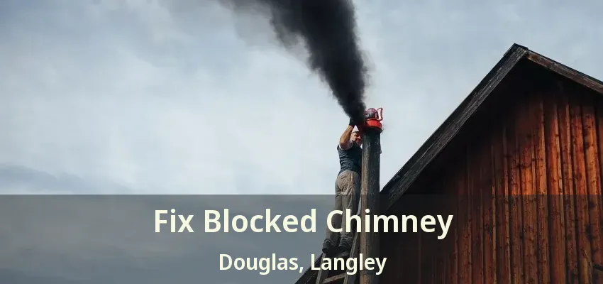 Fix Blocked Chimney Douglas, Langley - BC