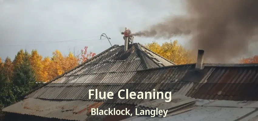 Flue Cleaning Blacklock, Langley - BC