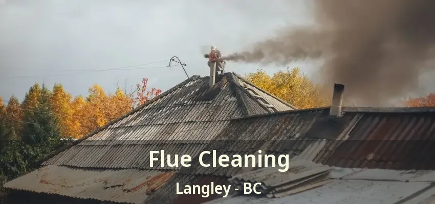 Flue Cleaning Langley - BC
