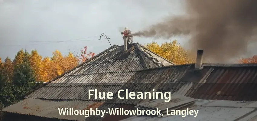Flue Cleaning Willoughby-Willowbrook, Langley - BC