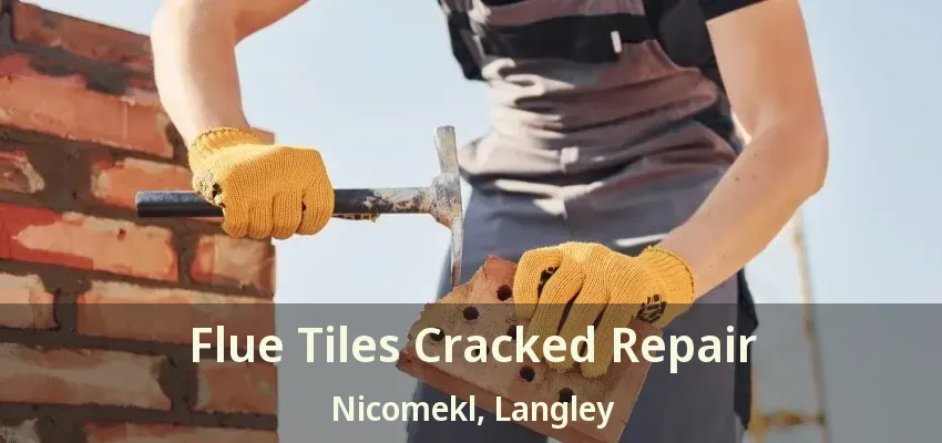 Flue Tiles Cracked Repair Nicomekl, Langley - BC