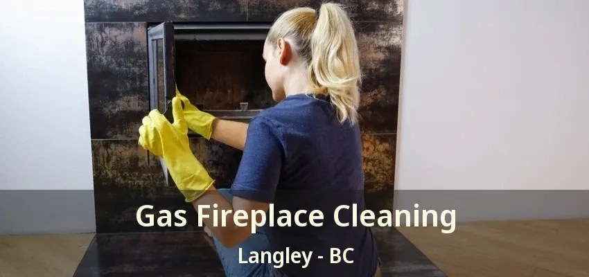 Gas Fireplace Cleaning Langley - BC