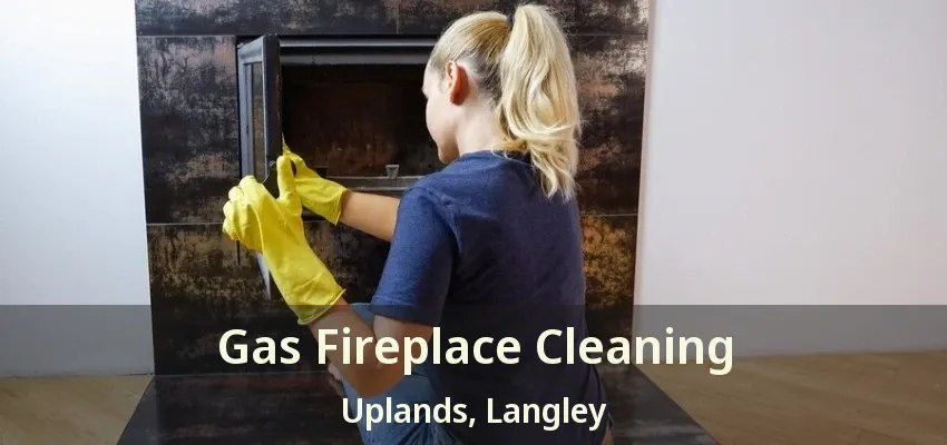 Gas Fireplace Cleaning Uplands, Langley - BC