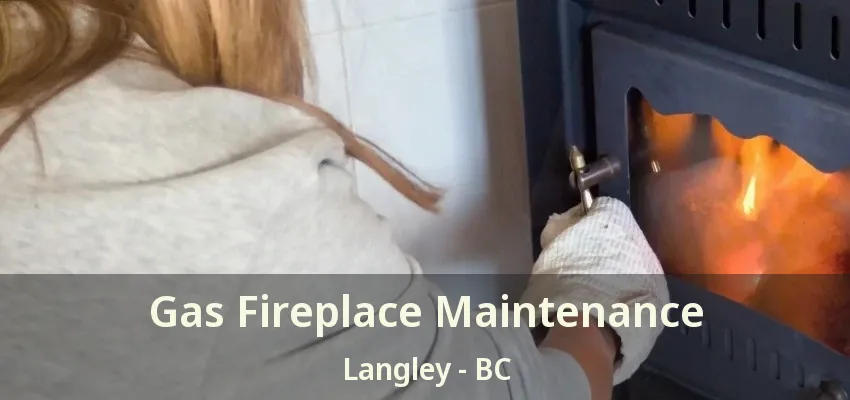 Gas Fireplace Maintenance Langley - BC