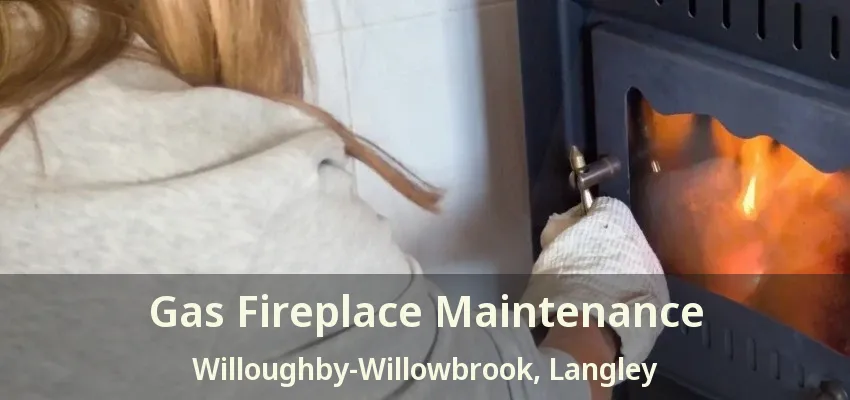 Gas Fireplace Maintenance Willoughby-Willowbrook, Langley - BC