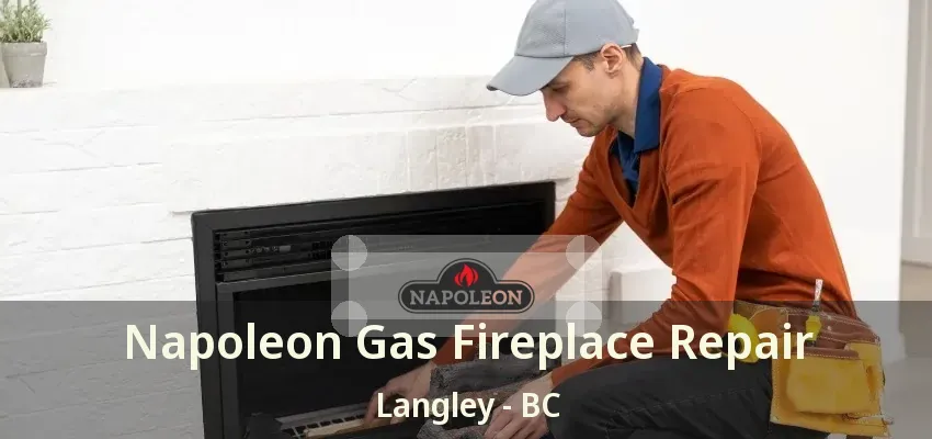 Napoleon Gas Fireplace Repair Langley - BC