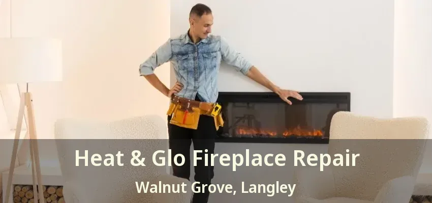 Heat & Glo Fireplace Repair Walnut Grove, Langley - BC