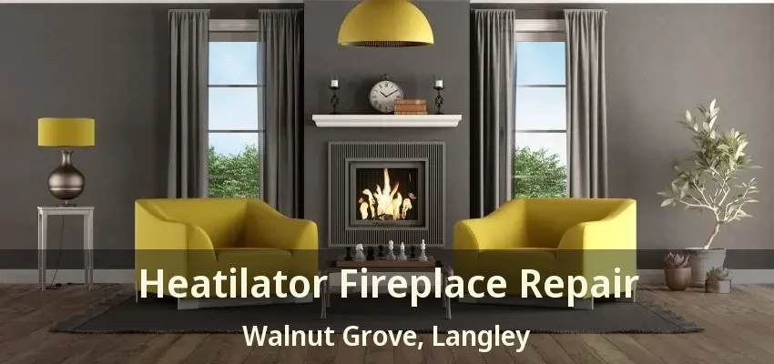 Heatilator Fireplace Repair Walnut Grove, Langley - BC