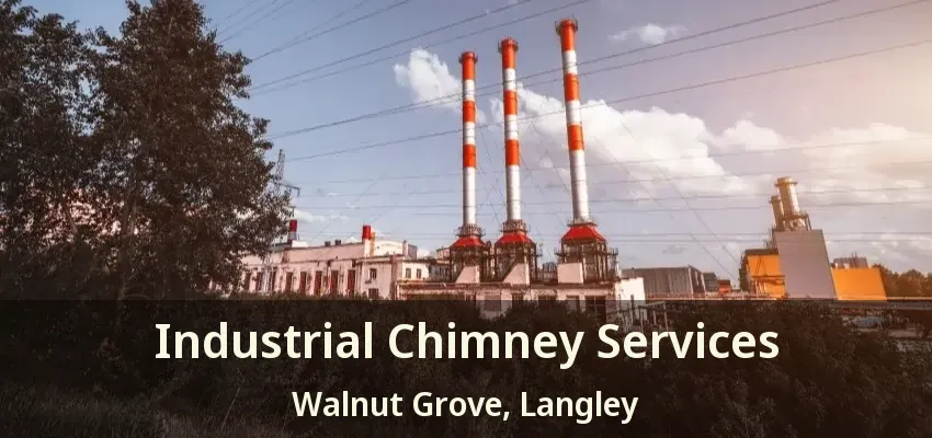 Industrial Chimney Services Walnut Grove, Langley - BC