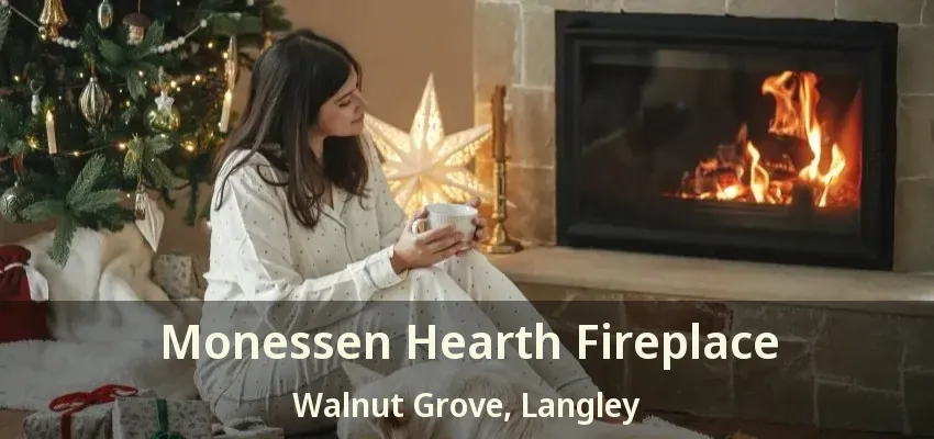 Monessen Hearth Fireplace Walnut Grove, Langley - BC