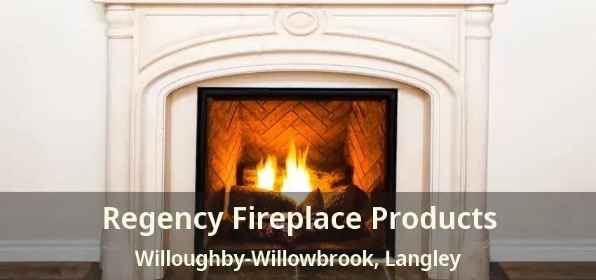 Regency Fireplace Products Willoughby-Willowbrook, Langley - BC