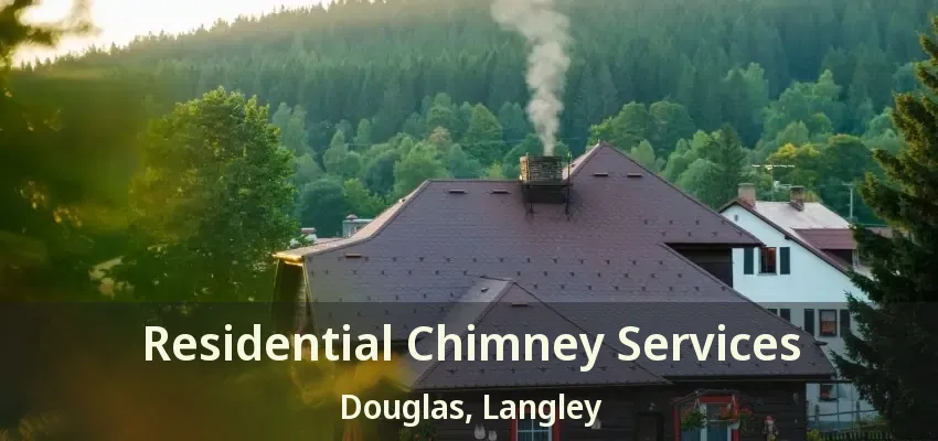Residential Chimney Services Douglas, Langley - BC