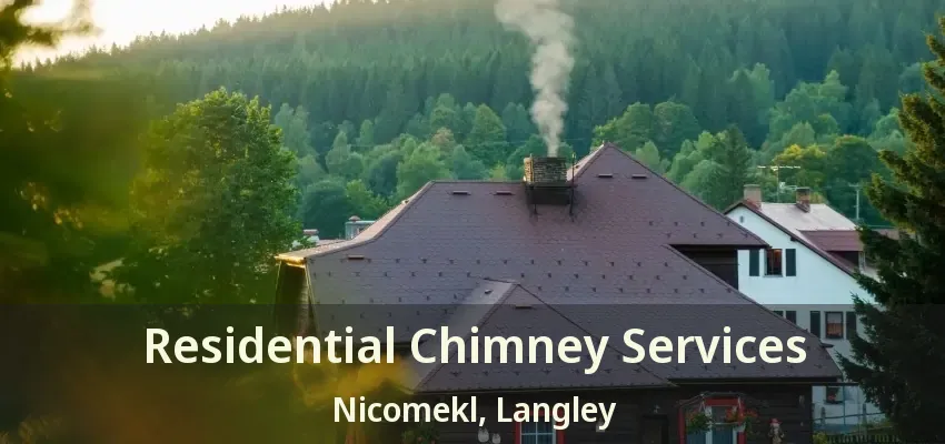 Residential Chimney Services Nicomekl, Langley - BC