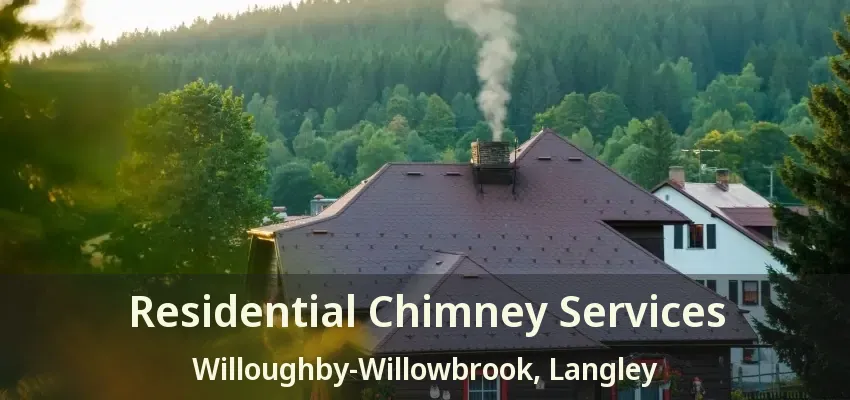 Residential Chimney Services Willoughby-Willowbrook, Langley - BC