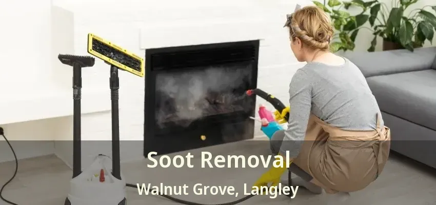 Soot Removal Walnut Grove, Langley - BC