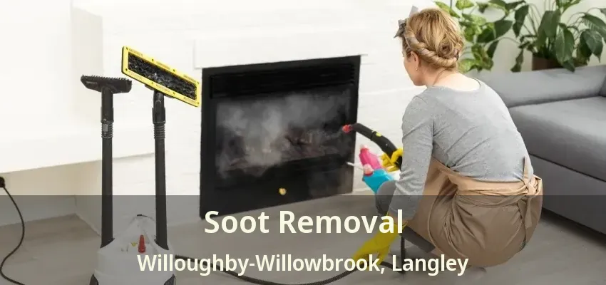 Soot Removal Willoughby-Willowbrook, Langley - BC