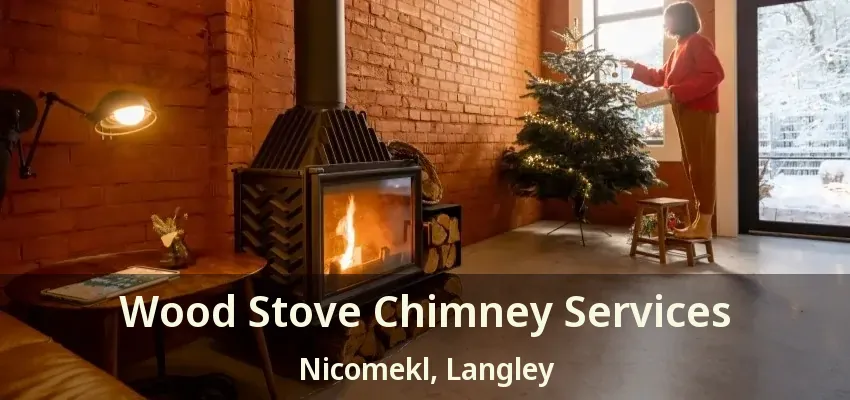 Wood Stove Chimney Services Nicomekl, Langley - BC