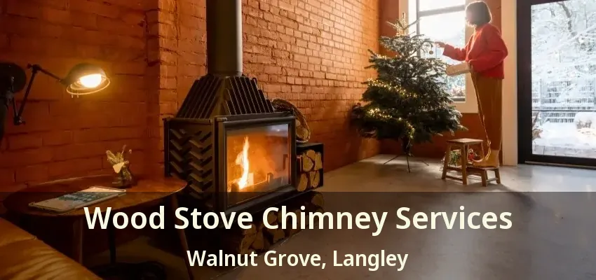 Wood Stove Chimney Services Walnut Grove, Langley - BC