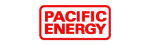 Pacific Energy Regency Fireplace Repair in Langley